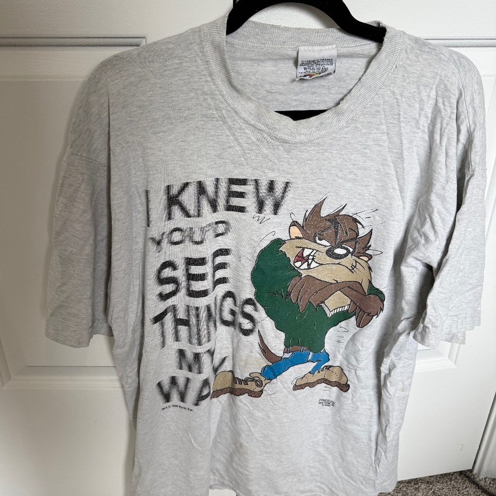 Vintage 1996 Looney Tunes Freeze Taz Single Stitch Tshirt Size XL